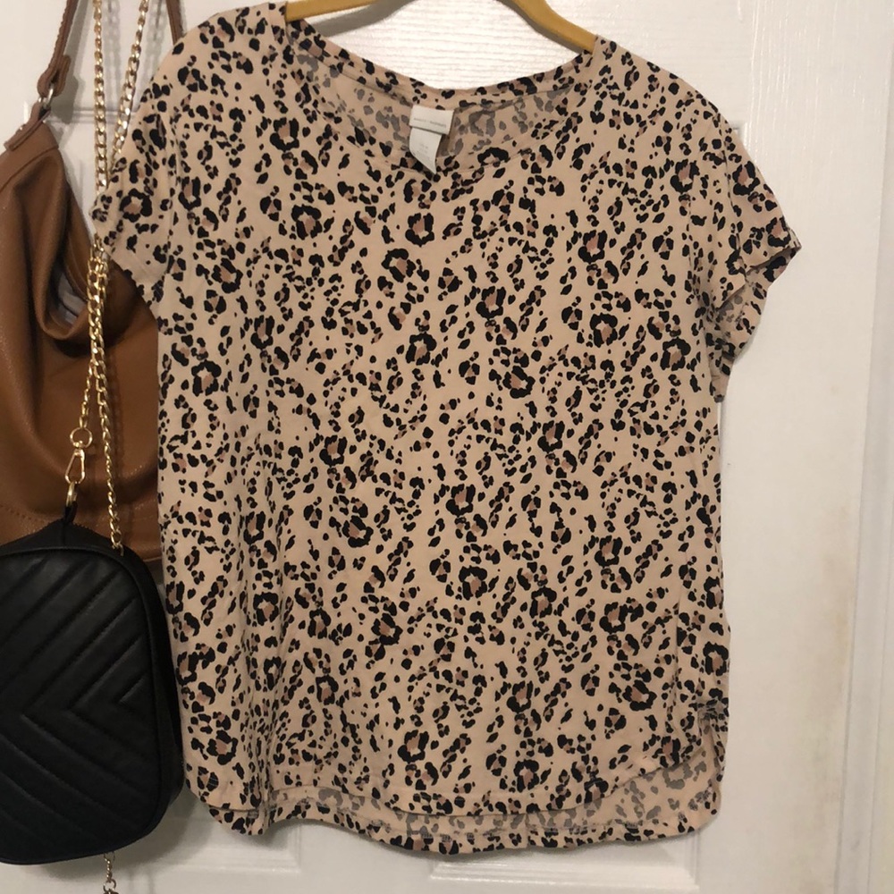 Leopard, Basics Style